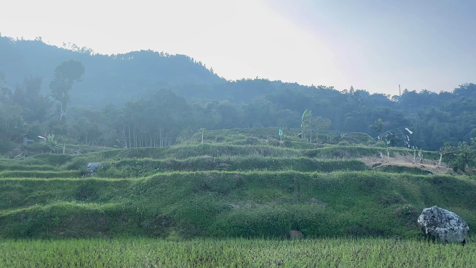 Galeri Wisata Sawah Kalimbuang: Lanskap Persawahan Dataran Tinggi 4