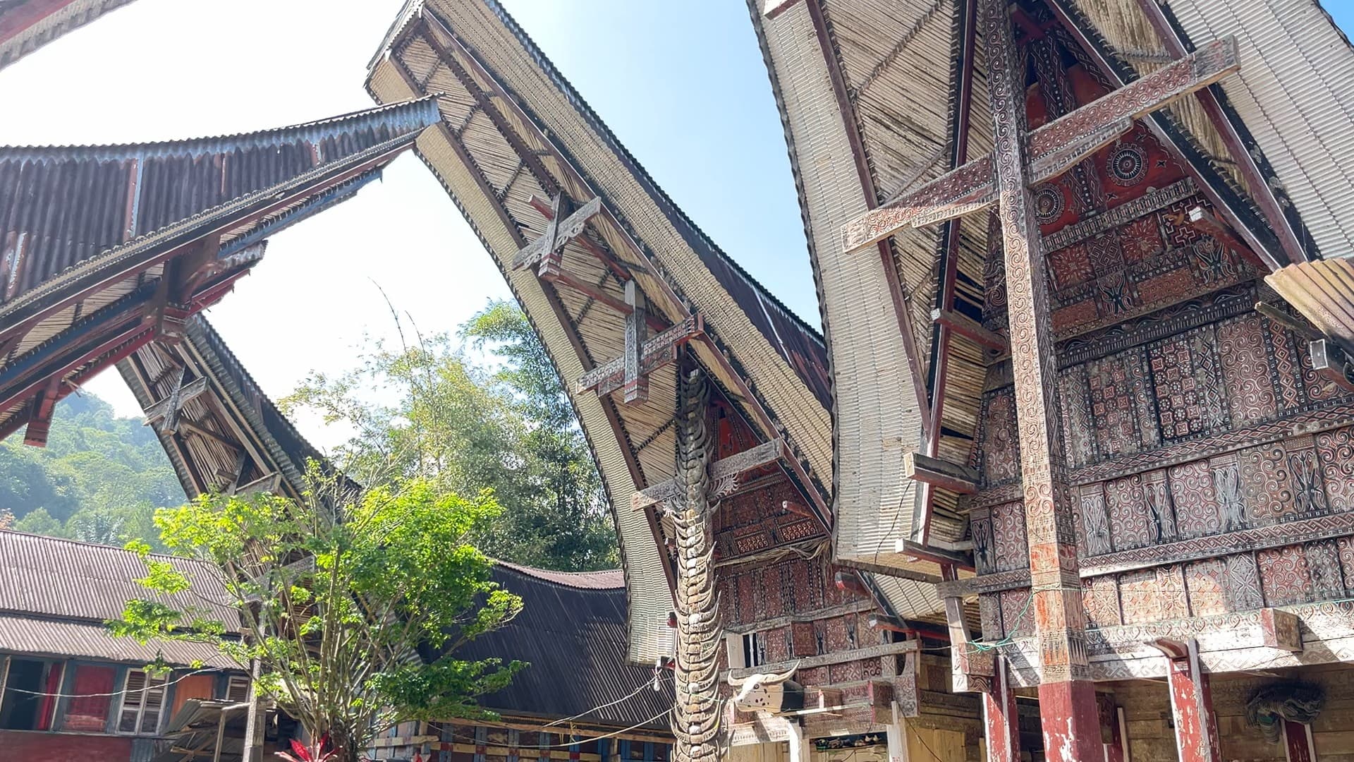 Tongkonan Pongko’: Silsilah & Jejak Leluhur Pongtiku