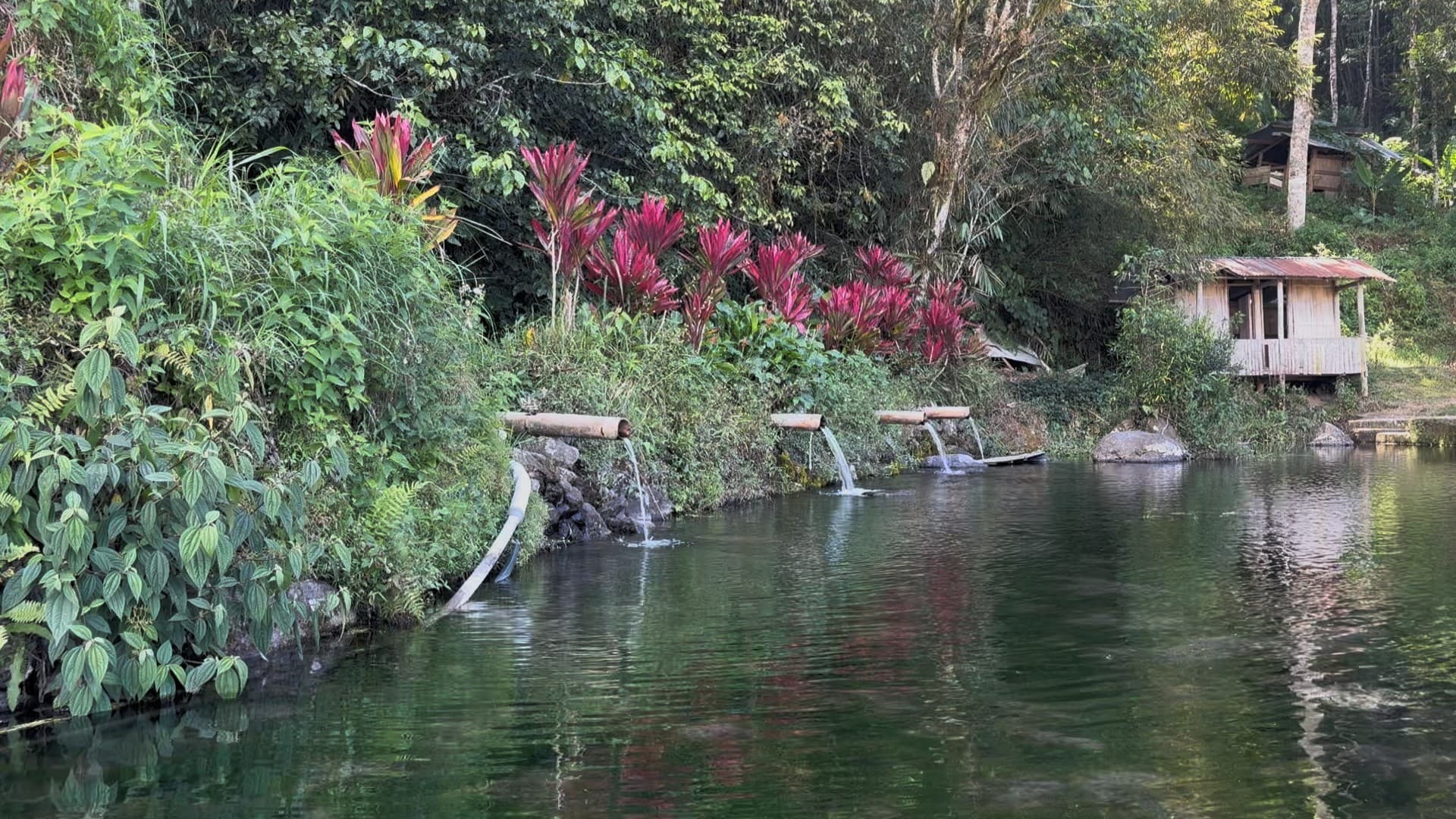Galeri Turunan Pua’: Mata Air Alami & Lore Habitat Ikan Masapi 5