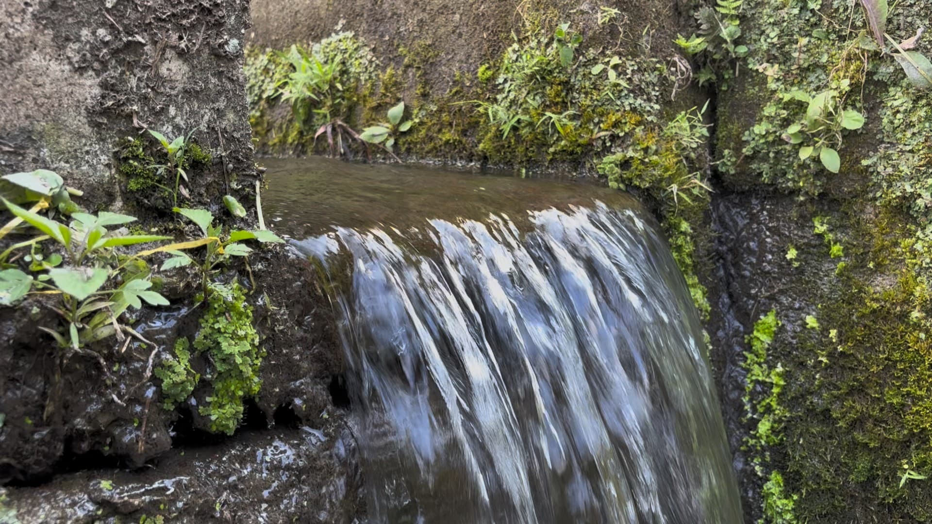 Galeri Turunan Pua’: Mata Air Alami & Lore Habitat Ikan Masapi 7